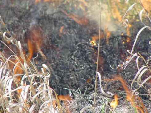 ... leaving behind ashes