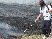 Botany member scorches ground