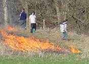 Botany members working to burn the dry grass
