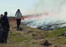 Botany members working with the flames