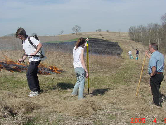 Mentor Mr. David Gossman and botany members observe the handiwork