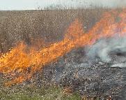 Fire burns through the field