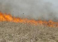 Flames blaze through the dry grass
