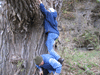 Mentor Mr. David Gossman helps botany member climb the giant cottonwood